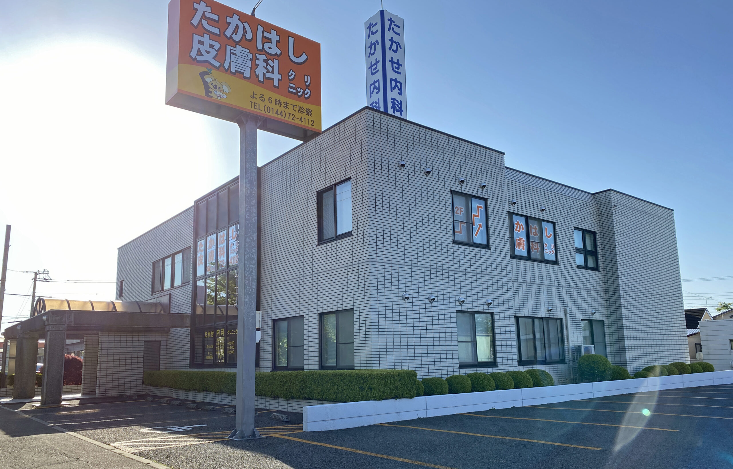 活動歴および当時の関連ビジュアル記録